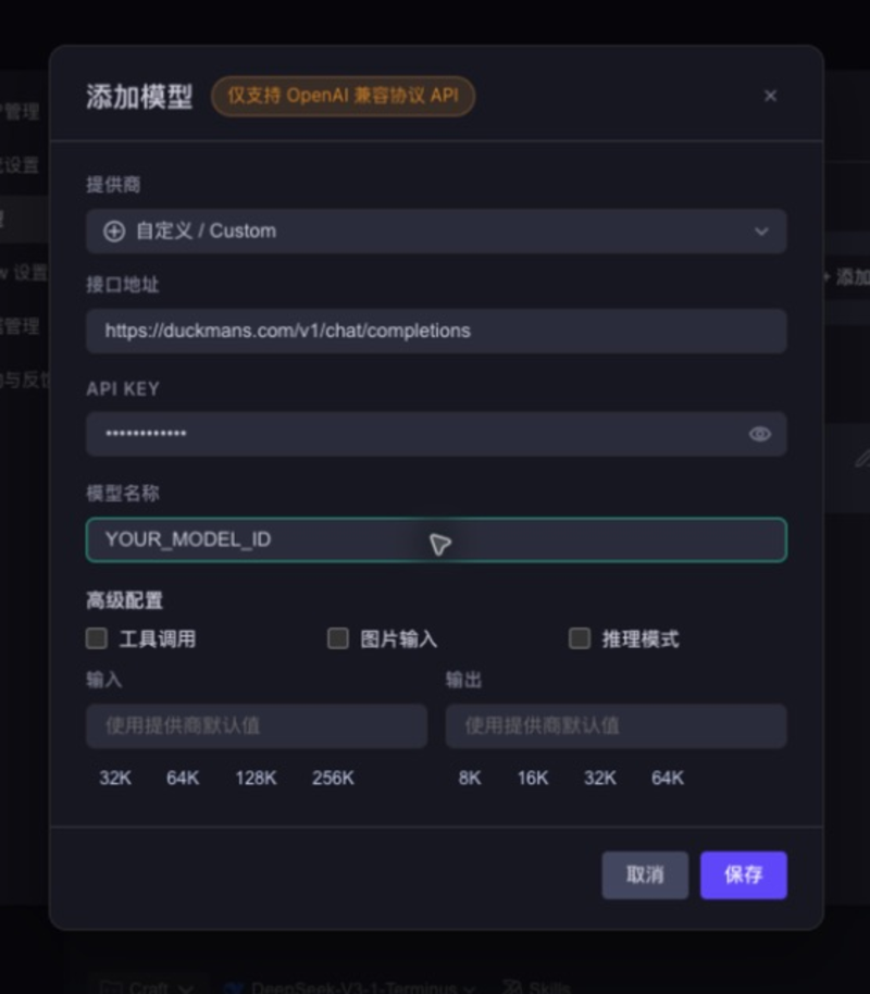 CodeBuddy CN 4.9.8 DuckMans 自定义模型表单